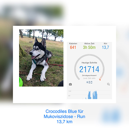 Muko-Spendenlauf 2020 Crocodiles