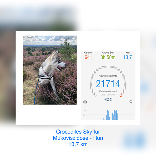 Muko-Spendenlauf 2020 Crocodiles