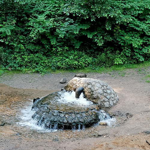 Muko-Spendenlauf 2021 - ein Srpingbrunnen im Wald