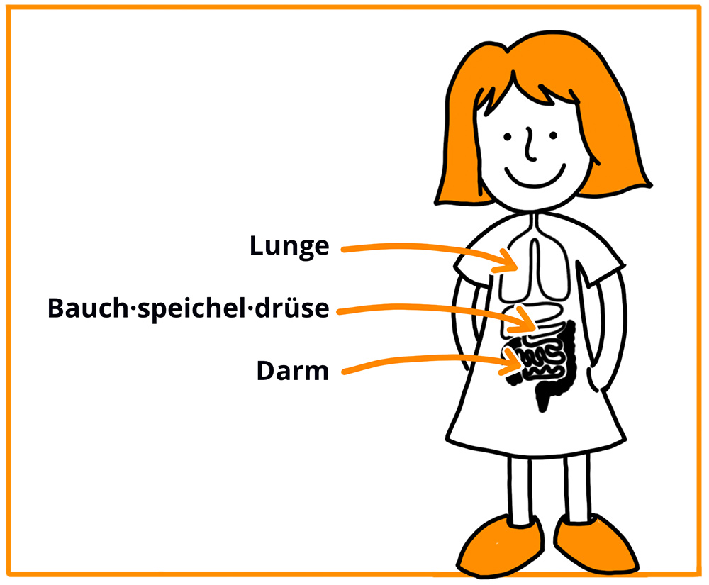 Zeichung: Ein Mädchen und ein paar ihrer inneren Organe - Lunge, Bauschspeicheldrüse, Darm